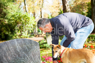 Man and dog in the cemetery