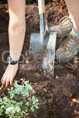 Woman with spade and dig the planting