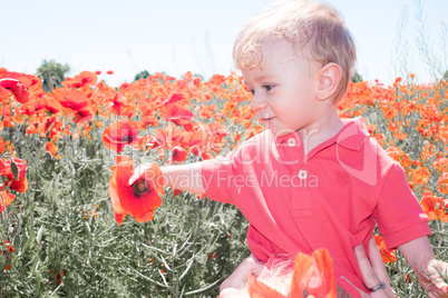 little baby boy posing on poppy fields