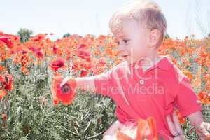 little baby boy posing on poppy fields
