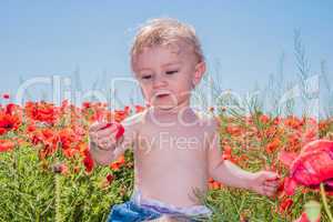 little baby boy posing on poppy fields