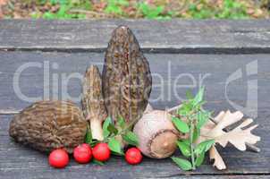 Morels and Holly berries