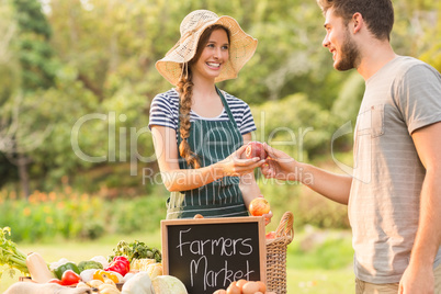 Handsome man buying red apples