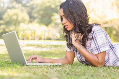 Pretty brunette lying in the grass and using laptop