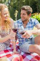 Young couple on a picnic drinking wine