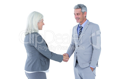 Businessman shaking hands with a businesswoman