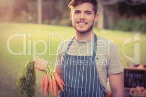 Handsome farmer holding carrots