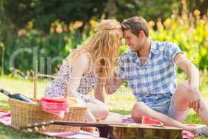 Young couple on a picnic