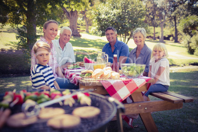 Happy family having picnic in the park