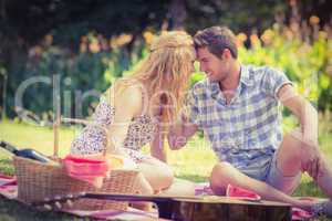 Young couple on a picnic looking at each other