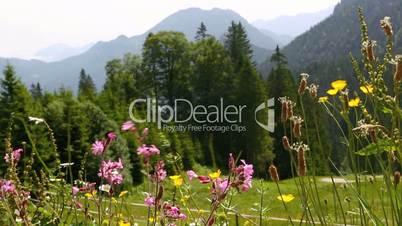 Sunny mountain landscape in the Bavarian Alps, Germany