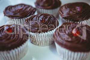 Muffins in a bakery