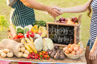 Farmer shaking his customers hand