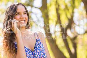 Pretty brunette having phone call in the park