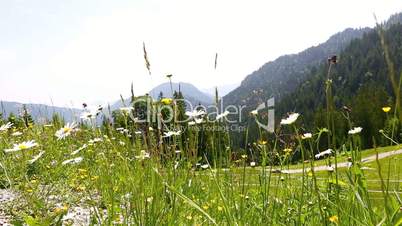 Sunny mountain landscape in the Bavarian Alps, Germany