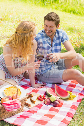 Young couple on a picnic drinking wine