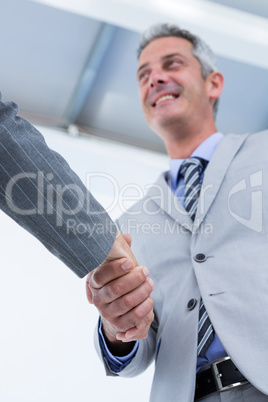 Businessman shaking hands with a businesswoman