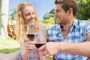 Young couple on a picnic drinking wine