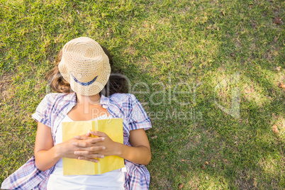 Pretty brunette resting in the grass