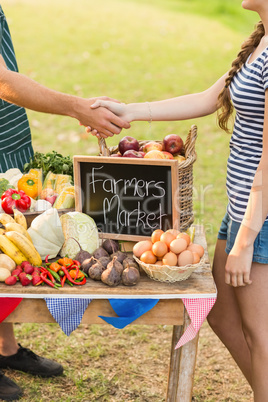 Farmer shaking his customers hand