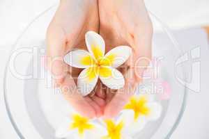 Petals of flower in wooden bowl