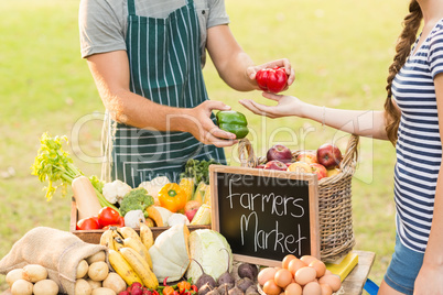 Farmer giving pepper to customer