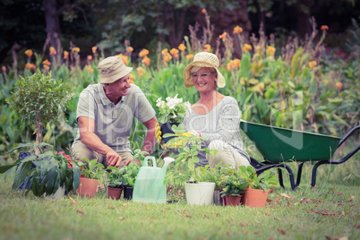 Happy grandmother and grandfather gardening