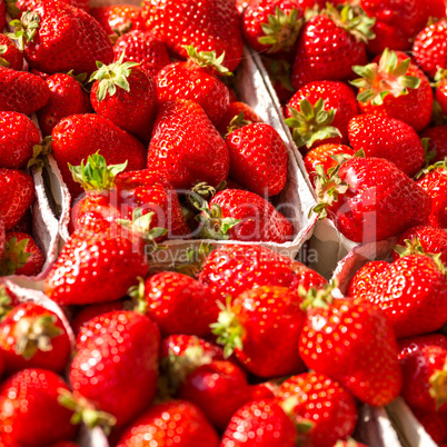 Strawberries in the Bowl