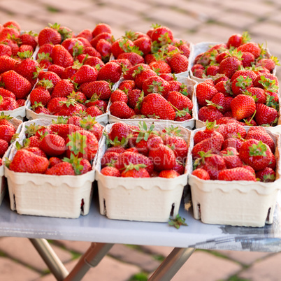 Strawberries in the Bowl