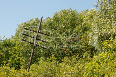Old rickety wooden telegraph pole
