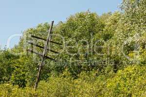 Old rickety wooden telegraph pole