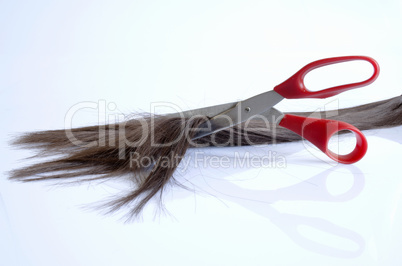 Pieces of hair cut with red scissors