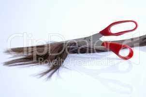 Pieces of hair cut with red scissors