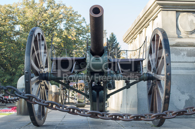 Old Cannon