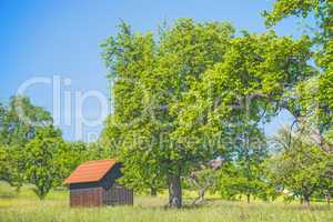 Hütte mit Obstbäumen
