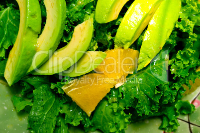 fresh avocado salad