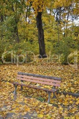 Bank im Herbstwald Bank im Herbstwald