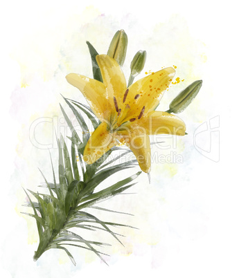 Yellow Lily Watercolor