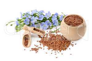 flowers and flaxseeds isolated on a white background