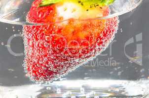 Erdbeere im Mineralwasser Glas.     Strawberry in glass of miner