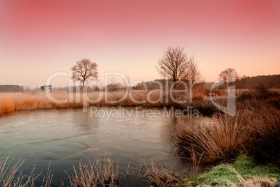 Wintertümpel im Morgenrot