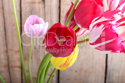 Bouquet of red tulips against a wooden background, close up flowers
