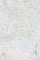 Grungy white concrete wall background