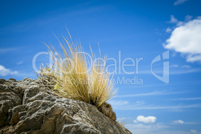 stone grass blue sky