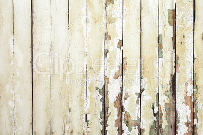 Vintage  white background wood wall.