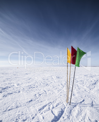 Flags on the background of winter sky