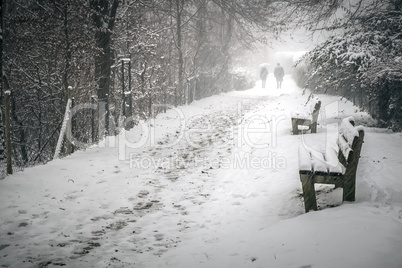 Winter Path