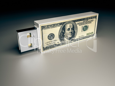 usb drive with dollar note