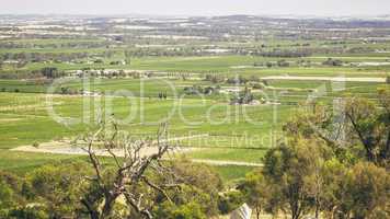 Barossa Valley