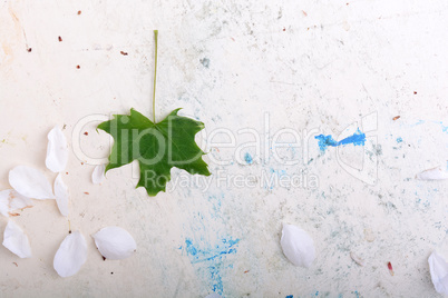 ornate floral background and green leaf